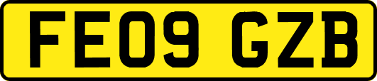 FE09GZB