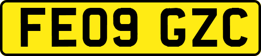 FE09GZC