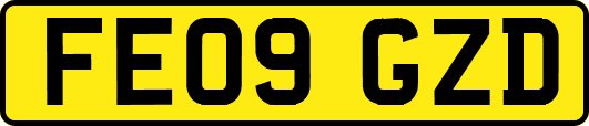 FE09GZD