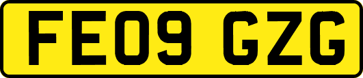 FE09GZG