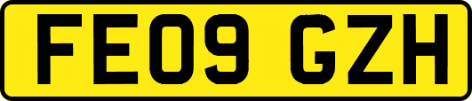 FE09GZH