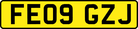 FE09GZJ