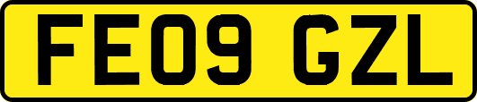 FE09GZL