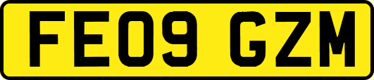 FE09GZM