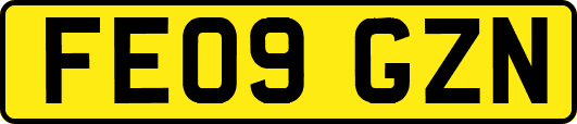 FE09GZN