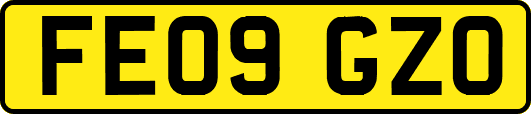 FE09GZO