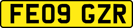 FE09GZR