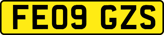 FE09GZS