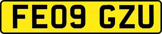FE09GZU