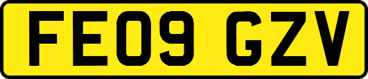FE09GZV
