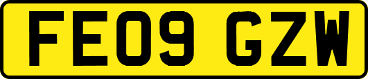 FE09GZW