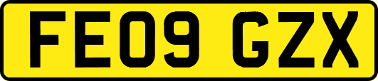 FE09GZX