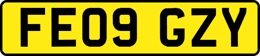 FE09GZY