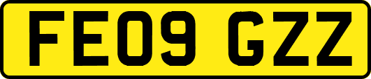 FE09GZZ
