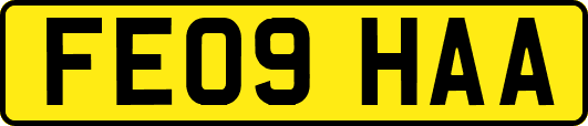 FE09HAA