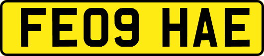 FE09HAE