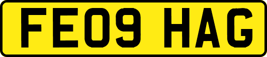 FE09HAG