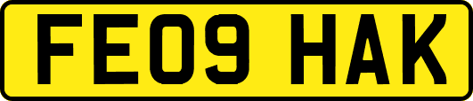 FE09HAK