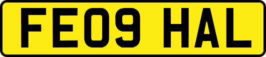 FE09HAL