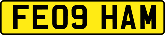 FE09HAM