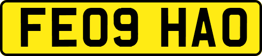 FE09HAO