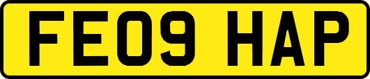 FE09HAP