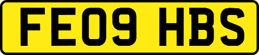 FE09HBS