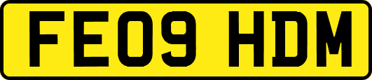 FE09HDM