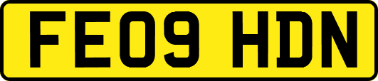 FE09HDN