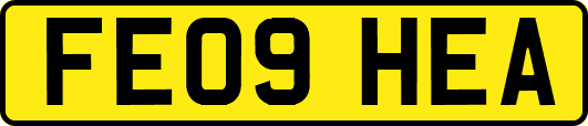 FE09HEA