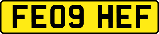 FE09HEF