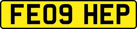 FE09HEP