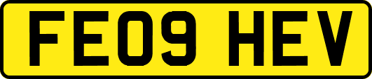 FE09HEV
