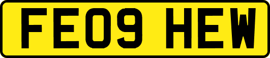 FE09HEW