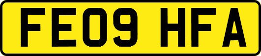 FE09HFA