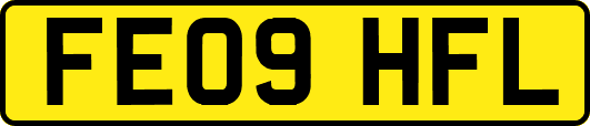FE09HFL