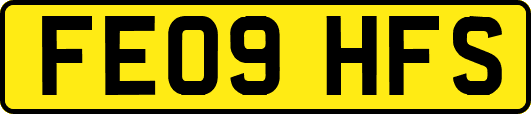 FE09HFS