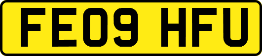 FE09HFU