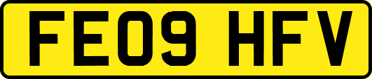 FE09HFV