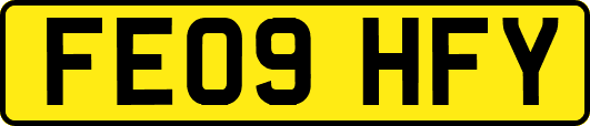 FE09HFY