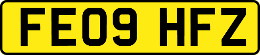 FE09HFZ