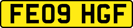 FE09HGF