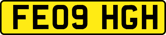 FE09HGH