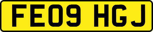 FE09HGJ