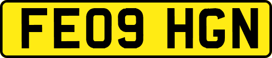 FE09HGN