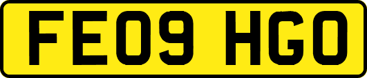 FE09HGO