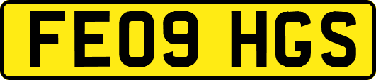 FE09HGS