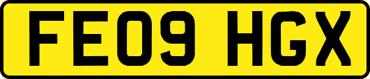 FE09HGX