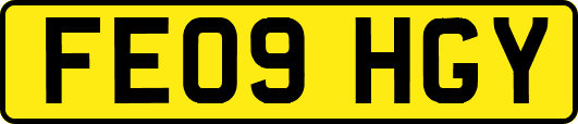 FE09HGY