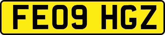 FE09HGZ